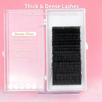 Extensions de cils personnalisées avec logo, cils inférieurs en gros, marque privée, cils coréens PBT faits à la main, haute qualité ISO/CE, volume complet