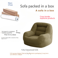 Canapé-lit nuage confortable et moderne pour salon, fauteuil simple de luxe compressé pour chambre à coucher