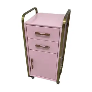 Modern luxury hair barber shop spa beauty salon furniture pink wood and stainless tools hand carts trolley with storage drawers