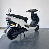Scooter électrique pour adultes certifié DOT, homologué pour la route, moteur 2000W, batterie amovible 60V 20Ah, design moderne blanc, moto électrique