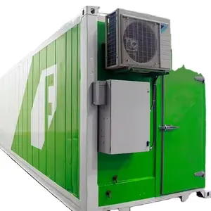 Skyplant Shipping Container Farm With Hydroponic Vertical System For Vegetable Growing Container