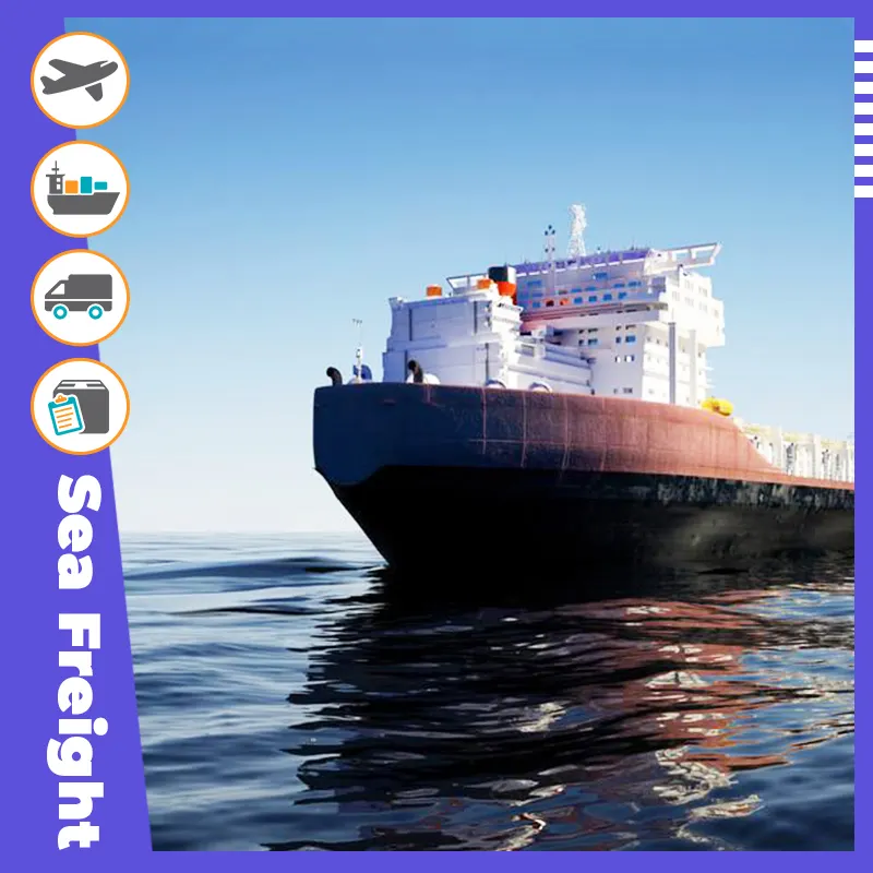 Fast sea shipping service to USA with DDP door to door delivery freight forwarder