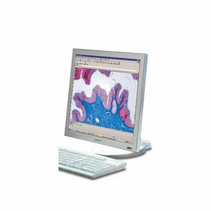 StelEO Discovery.V12 offre une meilleure résolution et un meilleur contraste pour les processus de biologie et d'assurance qualité - Product Image 4