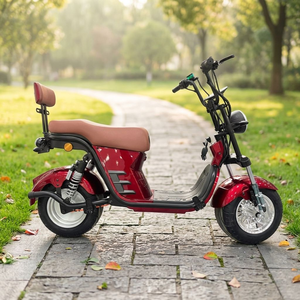 Bicicleta Eléctrica Urbana de 750W con Motor Trasero sin Escobillas, Suspensión Delantera, Batería de Litio, Frenos de Disco, 21 Velocidades, 60km de Autonomía, Venta Directa de Fábrica - Product Image 2