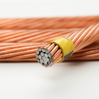 Cable de Tierra de Cobre Desnudo de 25 mm, Cable de Tierra para Sistemas de Puesta a Tierra