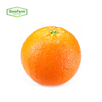 Naveloranjes Valencia-sinaasappels Vers fruit Hoge kwaliteit Verse sinaasappels