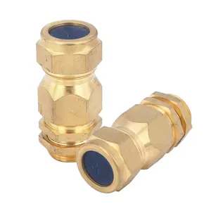 Armoured Brass Cable Gland Hot Sale Explosion Proof Armoured Brass Cable Gland Price