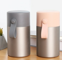 Vente en gros de gobelets sous vide à double paroi de 550ml en vrac Boîte à lunch Récipient à soupe avec cuillère d'une capacité de 450ml Pot alimentaire