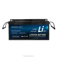 Lithium Ion Batteries Iron 24V 100AH Lifepo4 Battery Lithium Ion Batteries Pack Lithium Iron Phosphate Battery