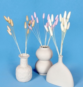 Fourniture d'usine Prix attractif Queue de Lapin Herbe Bundle Artificielle Diverses Couleurs <span class=keywords><strong>Lagurus</strong></span> Ovatus Queue de Lapin Herbe - Product Image 1