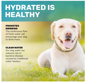 Proveedores de mascotas personalizados de Kingtale, rociador para perros al aire libre para perros grandes o pequeños, dispensador de agua para perros - Product Image 2