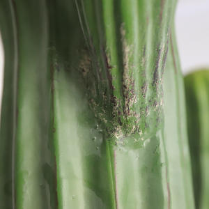 Planta de Cacto Plástico Falso de Alta Qualidade por Atacado 306cm Ecológica e Resistente à Água para Decoração Interna e Externa - Product Image 3