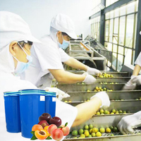 Machines à confiture de fruits un fabriquer la compote de ligne de production
