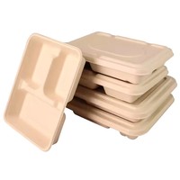 Boîte à lunch jetable biodégradable et compostable en bagasse de canne à sucre pour restaurant