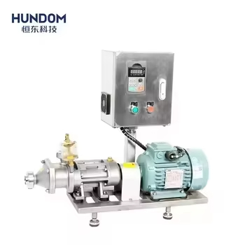 HUNDOM Tomato Sauce High Pressure Adjustable Speed Stainless Steel Twin Screw Pump