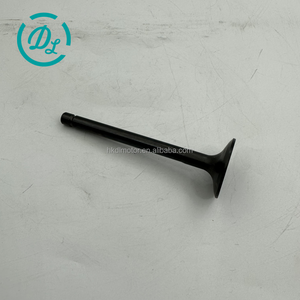 Soupape d'admission diesel DL EexcavaStart 1G897-13114 pour moteurs V2403, mini-excavatrices, tracteurs, durable, fiable, facile à installer - Product Image 1