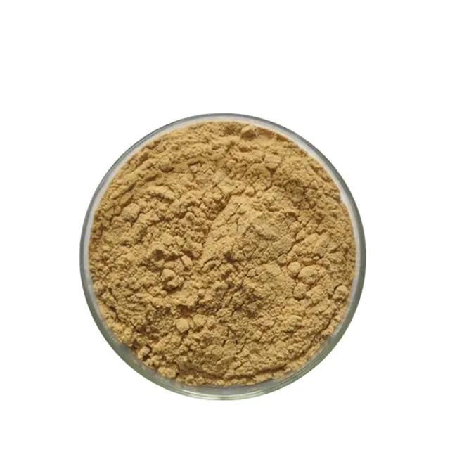 100% pur Lions crinière champignon extrait poudre de qualité alimentaire testé aux UV sauvage cultivé coquille partie cosmétiques disponibles en vrac bouteille GMP