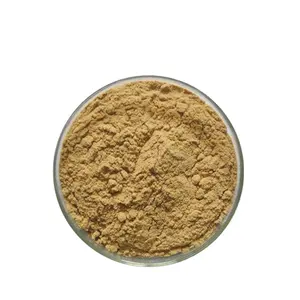 Extrato de cogumelo de joaninha de leão 100% puro em pó de qualidade alimentar testado com testes UV para peças de cosméticos cultivadas silvestres disponíveis GMP garrafa a granel