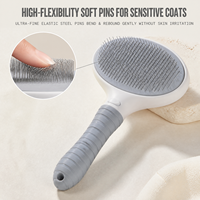 Brosse de toilettage pour animaux de compagnie, style dessin animé, auto-nettoyante, à une touche, pour enlever les poils, pour chiens et chats