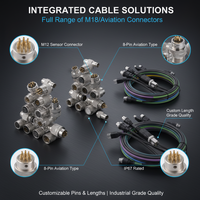 Cable DVI Personalizado 24+5, Anillo Magnético de Cobre Puro, Monitor de Computadora, Conductor de Cobre HD, en Stock