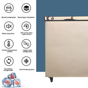 Congélateur coffre domestique à température unique - Réfrigération pour aliments surgelés et viande, 1 porte supérieure - Product Image 4