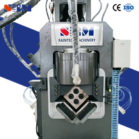 Máquina de Marcado Hidráulica Raintech y Máquina Punzonadora de Acero Angular CNC, Línea Integrada de Punzonado y Corte de Acero Angular