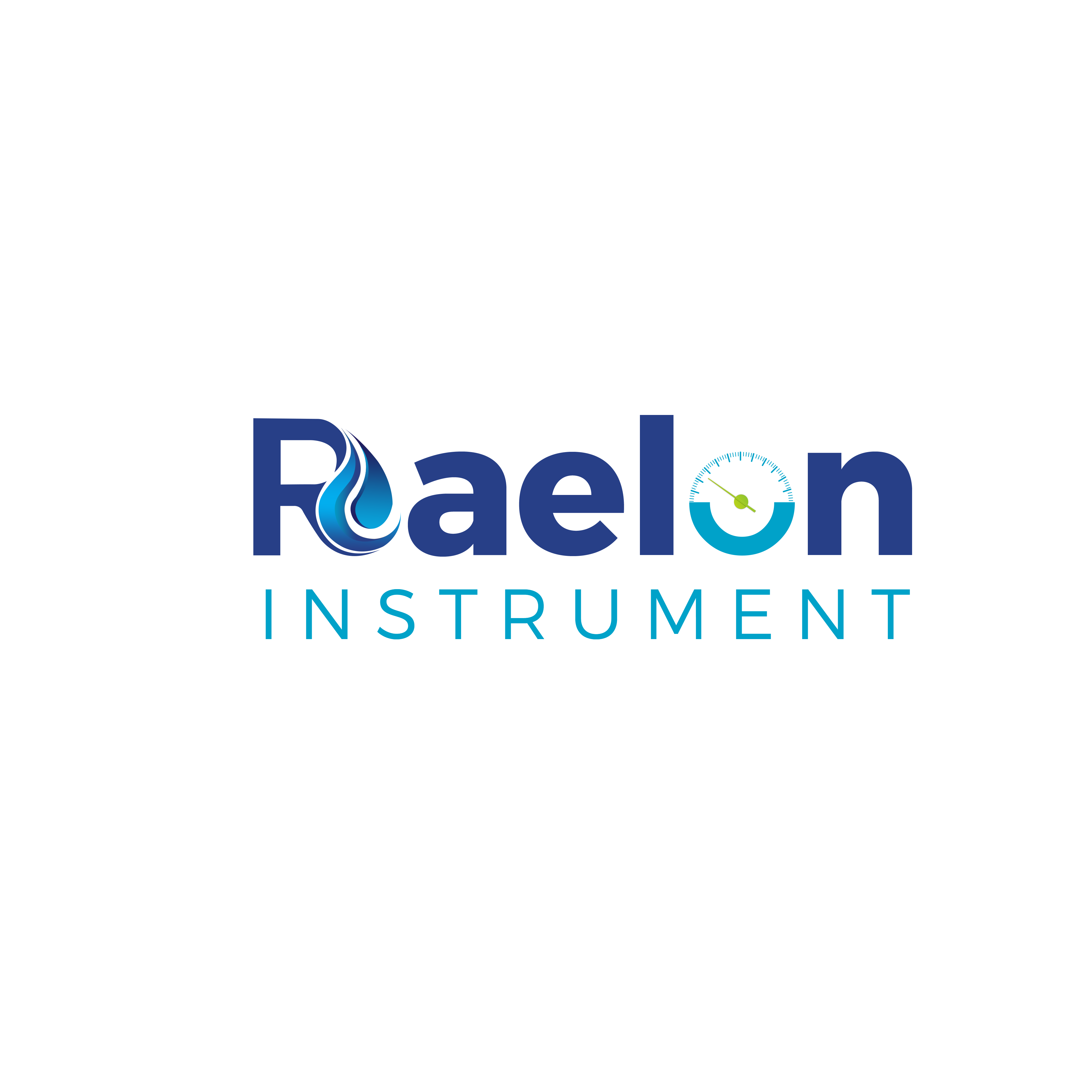 Raelon (Dalian) Instrument Co., Ltd. logo