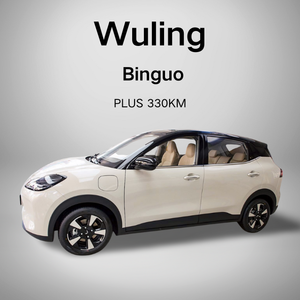 सस्ती इलेक्ट्रिक मिनी कार वीलिंग बिंगो प्लस नए ऊर्जा वाहन के लिए लंबी दूरी की फास्ट चार्ज और कार - Product Image 2