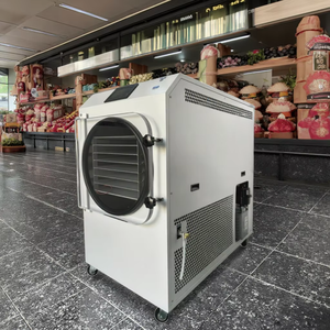 Freeze <b>Drying</b> Dryer Machine <b>Equipment</b> Freeze <b>Drying</b> Fruit Machine Freeze Dryer Machine Industrial - Product Image 6