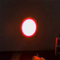 Module laser de fibre optique, accouplement optique, outil de détection de conduction, personnalisable, 638nm 100mw, lumière rouge