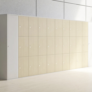 Armoire de rangement étanche en HPL de haute qualité à bon prix avec clé de verrouillage - Product Image 3