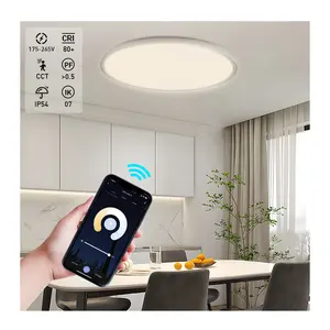 Moderne Indoor Led Plafondlamp 18W 24W 32W 40W 50W 70W Ip54 Wifi Afstandsbediening Led Plafondverlichting Voor Woonkamer