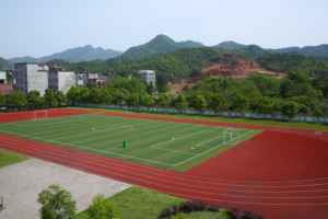 Pista de correr permeable al aire para suelos deportivos profesionales INOLP para campos de entrenamiento atlético - Product Image 6