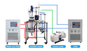 Reactor de vidrio de una sola capa Reactor químico básico de 20L para procesos de calentamiento de mezcla sencillos - Product Image 3