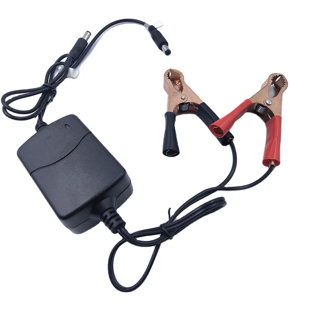 Nieuwe BC-125 Draagbare 12V Acculader Alligator Dc 5521 Usb Output Multifunctionele Laders