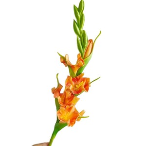 ช่อดอกกลาดิโอลัสประดิษฐ์สวยงาม ดอกไม้ผ้าไหม สีแดงไวน์ สีม่วงลาเวนเดอร์ สีฟ้าอ่อน สีเหลือง สีส้ม สำหรับตกแต่งบ้าน งานแต่งงาน - Product Image 5