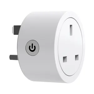 Energiebewaking Alexa Google Voice Command 15a Matter Timing Open Close Wifi Uk Smart Plug Met Socket Support Apple Home Kit