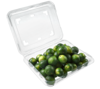 Rechthoek Wegwerp Pet Clear Fruit Groente Verpakking Plastic Transparante Aardbei/Groene Datum/Longan Take Out Container