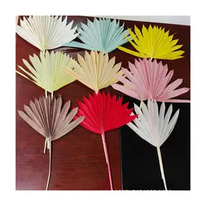 Wholesale RG-350 Natural Dry Fan Sun Dried Bleached Palm Leaves Flowers for Wedding Home Decoration