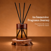 Nouvel ensemble diffuseur de parfum pour la maison, diffuseur d'huiles essentielles longue durée pour la chambre et le salon