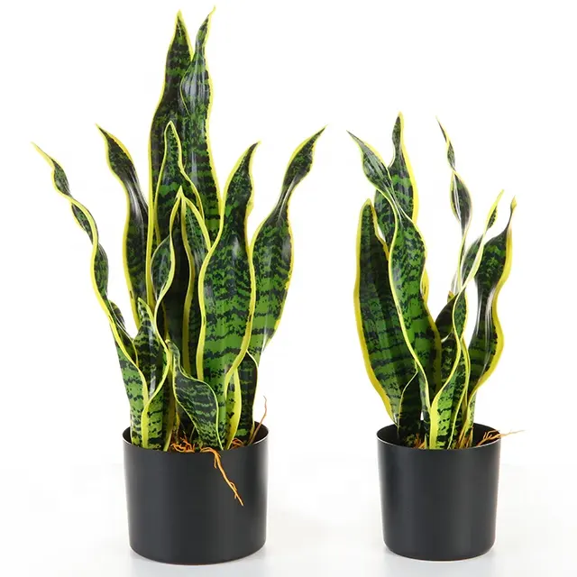 ポットリアルタッチスネーク人工植物の屋内でのホットセール法の母舌多肉植物Sansevieria Trifasciata