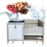 Borstelrolwasmachine voor zeevruchten: schelpjes, garnalen, oesters, aardappel, gember, komkommer, bamboescheuten, yam, ananas