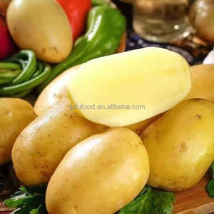 Batatas Dulces Amarillas Frescas 2025 - Marca JUFU FOOD 150g 8cm de Largo Cosecha Reciente Almacenamiento Refrigerado Shandong China - Product Image 3
