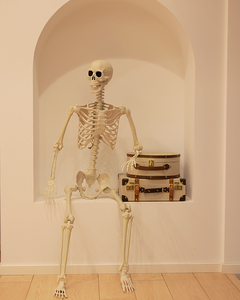 Esqueleto de Halloween Personalizado de 165 cm con Articulaciones Móviles, Huesos Humanos de Plástico para Decoración de Casas Encantadas y Exteriores - Product Image 5