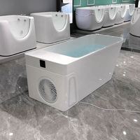 Bañera de Inmersión Fría Acrílica Todo en Uno con Bomba de Calor y Enfriador, Spa, Jacuzzi, Bañera de Hielo para Recuperación Deportiva, Venta al por Mayor Local en EE. UU.