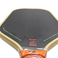 Prix de gros Raquette de pickleball Série BNB pour fibre de carbone T700, noyau en mousse EVA/EPP pressé à chaud Gen5, allongée 16 mm