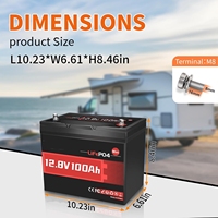 2-pack Baterai Mini LiFePO4 Lithium 12V 100Ah dengan BMS 100A 1280Wh Baterai Lithium Iron Phosphate Kelompok BCI 24 6000+ Siklus