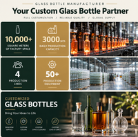 Bouteille en verre mate personnalisée de 750 ml pour spiritueux, vodka, gin, tequila, jus, alcool, avec bouchon