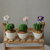 Nouvelle plante en pot miniature artisanale au crochet, style bohème, pour décoration intérieure, idéale pour les cadeaux de remise de diplôme, de fêtes et d'anniversaires