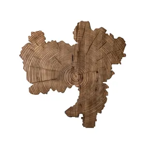 مجردة إبداعية حديثة كبيرة نحت الخشب فن الديكور 3d الخشب خريطة كبيرة جدار الفن الكبير الديكور